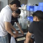 微信图片_20240827170218 微信图片_20240827170218